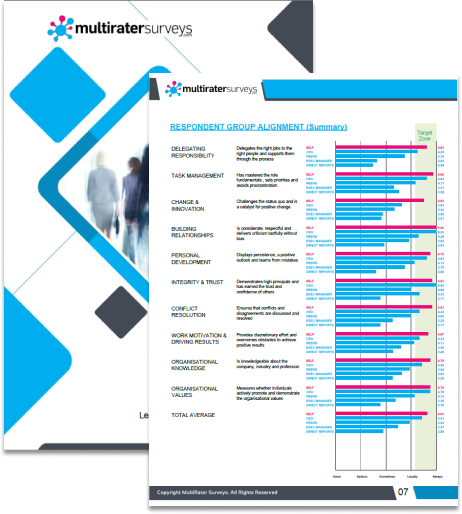 Standard Feedback Report Image