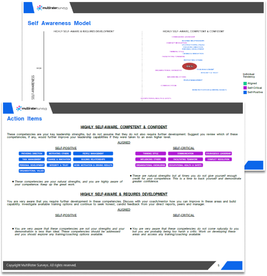 Leadership Self-Awareness Report Image